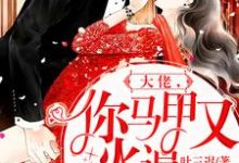 小说《大佬,你马甲又火遍全球了》章节免费阅读-艾米文学