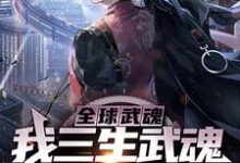 全球武魂：我三生武魂，震惊世界小说，全球武魂：我三生武魂，震惊世界在线阅读-艾米文学