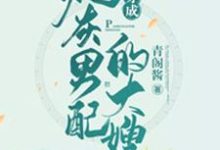 俞小宛陶三郎陶四郎小说叫什么(穿成炮灰男配的大嫂免费阅读)-艾米文学