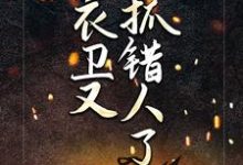 听说锦衣卫又抓错人了!小说阅读,听说锦衣卫又抓错人了!完结版-艾米文学