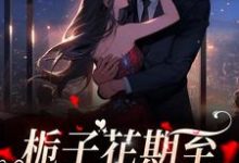 完结版《栀子花期至,爱意永不逝》章节阅读-艾米文学