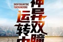 神异双瞳运转中徐晋宋乔小说在线章节免费阅读-艾米文学
