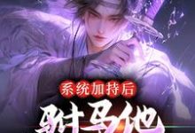 系统加持后，驸马他签到成仙了小说最新更新在哪里？免费在线看-艾米文学