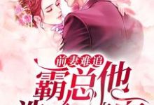 主角叫苏沐陆漾顾若的小说在哪阅读-艾米文学