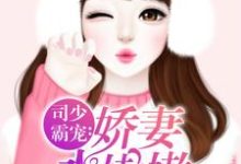 司少霸宠：娇妻水嫩嫩小说的最新章节在哪里更新？免费追踪阅读-艾米文学