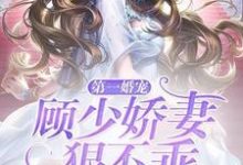 主角夏柠顾林城陈团团小说第一婚宠:顾少娇妻狠不乖免费阅读-艾米文学