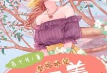 完结版《替嫁娇宠:夫人又美又飒》免费阅读-艾米文学