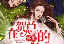 《在贺总的怀里放肆》全集免费在线阅读(江霁贺堇修)-艾米文学