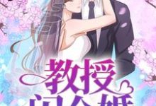 小说《教授,闪个婚》章节免费阅读-艾米文学