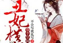 主人公叫风零舞夜睿凌的小说哪里免费看-艾米文学