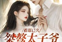 蓄谋已久:桀骜太子爷日日求亲亲小说,蓄谋已久:桀骜太子爷日日求亲亲段时焰今雾-艾米文学