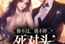 躲不过,逃不掉,死对头顶级诱宠小说,躲不过,逃不掉,死对头顶级诱宠林曜谢星忱-艾米文学