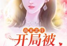 小说《南来北往：开局被汪新喂糖》在线章节阅读-艾米文学