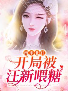 小说《南来北往：开局被汪新喂糖》在线章节阅读