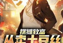 摆摊致富：从卖土豆丝开始暴富这本小说完结了吗？免费查看最新章节-艾米文学