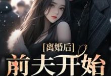 离婚后，前夫开始爱我了最新章节，离婚后，前夫开始爱我了免费阅读-艾米文学