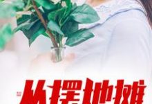 陈力林曼是哪本书的主角？从摆地摊开始崛起免费读-艾米文学