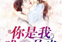 完结版《你是我唯一的光》章节目录在线阅读-艾米文学