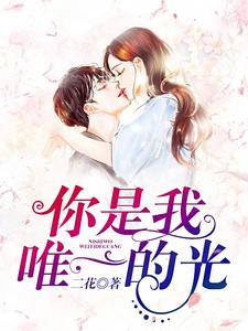 完结版《你是我唯一的光》章节目录在线阅读