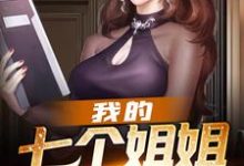 苏辰楚清雪楚月婵夏灵是哪本书的主角?我的七个姐姐才貌双绝免费读-艾米文学