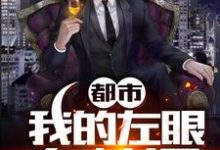 都市:我的左眼有神通小说完结了吗?在哪里可以免费读到?-艾米文学