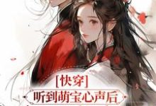 完结版《快穿：听到萌宝心声后，暴君赢麻了》章节目录在线阅读-艾米文学
