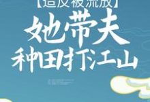 造反被流放，她带夫种田打江山小说，造反被流放，她带夫种田打江山 江棠棠陆时晏-艾米文学