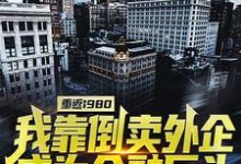 小说《重返1980：我靠倒卖外企成为金融巨头》章节阅读-艾米文学