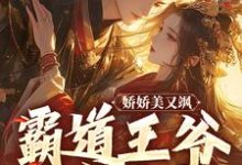 时千夏顾清云小说《娇娇美又飒，霸道王爷强宠入怀》在线阅读-艾米文学