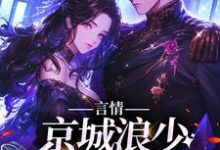 哪里能找到言情:京城浪少苦追妻小说的全部章节?-艾米文学