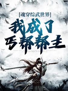 求魂穿综武世界，我成了丐帮帮主小说免费资源