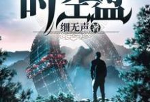 我有一座时空盘小说,我有一座时空盘免费阅读-艾米文学