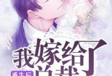 《重生后,我嫁给了总裁》小说主角苏小鱼季东阳章节章节免费在线阅读-艾米文学