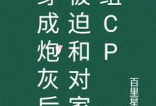 免费看穿成炮灰后被迫和对家组cp小说的网站有哪些?-艾米文学