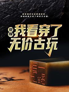 觉醒！我看穿了无价古玩小说，觉醒！我看穿了无价古玩最新章节