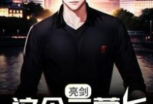 免费阅读张云清赵刚为主角的小说,亮剑:这个二营长有点彪啊!在线看-艾米文学