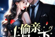 哪里能找到偷亲大叔一下,海王收心了小说的全部章节?-艾米文学