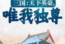 三国：天下英豪，唯我独尊！李元小说大结局免费试读-艾米文学