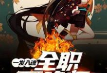 一发入魂:全职召唤师小说有没有完整的免费版本在线阅读?-艾米文学