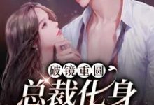 《破镜重圆:总裁化身宠妻狂魔》小说主角李诗婳冷亦尘章节章节免费在线阅读-艾米文学