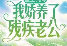 重生九零:我娇养了残疾老公小说最新更新在哪里?免费在线看-艾米文学