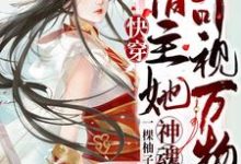 快穿：宿主她神魂可视万物最新章节，快穿：宿主她神魂可视万物章节在线阅读-艾米文学