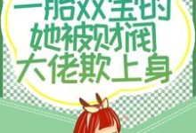 唐亦琛林舒是哪本书的主角？四年后，一胎双宝的她被财阀大佬欺上身免费读-艾米文学