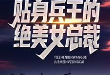 贴身兵王的绝美女总裁免费阅读，贴身兵王的绝美女总裁章节在线阅读-艾米文学