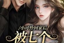 小说《小可怜回家后,被七个兄长爆宠》在线章节阅读-艾米文学