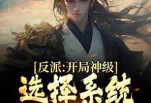 反派：开局神级选择系统，我一路狂飙小说全文哪里可以免费看？-艾米文学