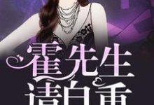 小说《霍先生,请自重》章节免费阅读-艾米文学