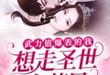哪里可以免费读到叶小小萧狱的完整故事?寻找武力值爆表的我想走圣世白莲风-艾米文学