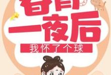 春宵一夜后我怀了个球这本小说完结了吗？免费查看最新章节-艾米文学