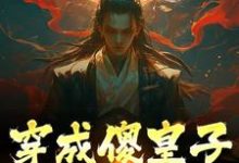 已完结小说《穿成傻皇子，我大闹京都》最新章节-艾米文学